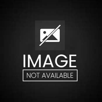 Best Pcd Pharma Company Product List